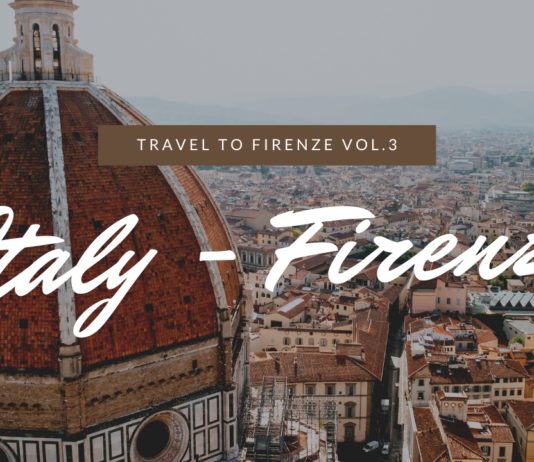 イタリア|24時間でフィレンツェの観光名所を巡る写真旅③