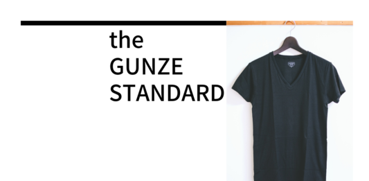 GUNZE(グンゼ)｜「the GUNZE STANDARD」 綿100メンズVネックインナーTシャツ