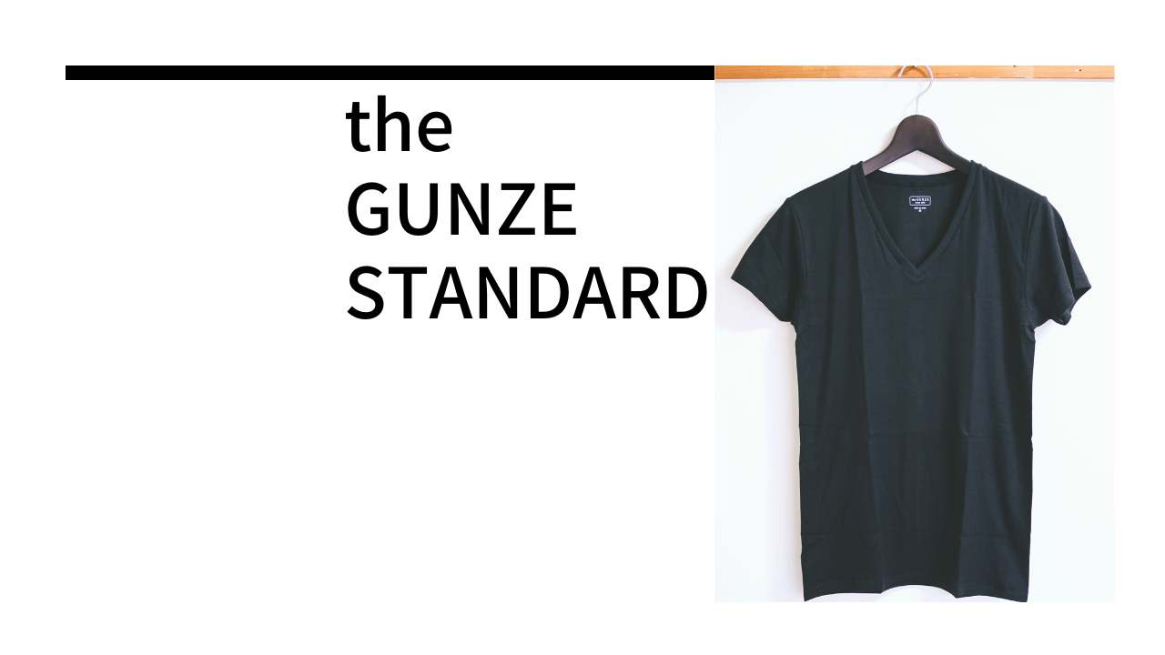 GUNZE(グンゼ)｜「the GUNZE STANDARD」 綿100メンズVネックインナーTシャツ