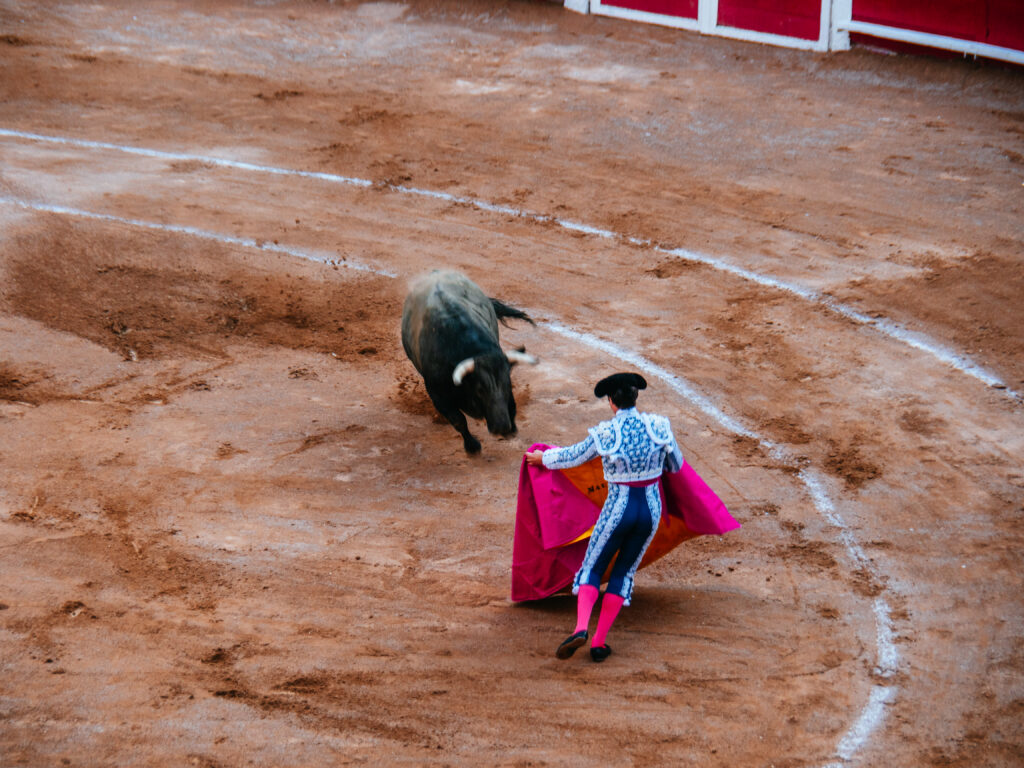 アグアスカリエンテス｜サンマルコス祭りで闘牛鑑賞