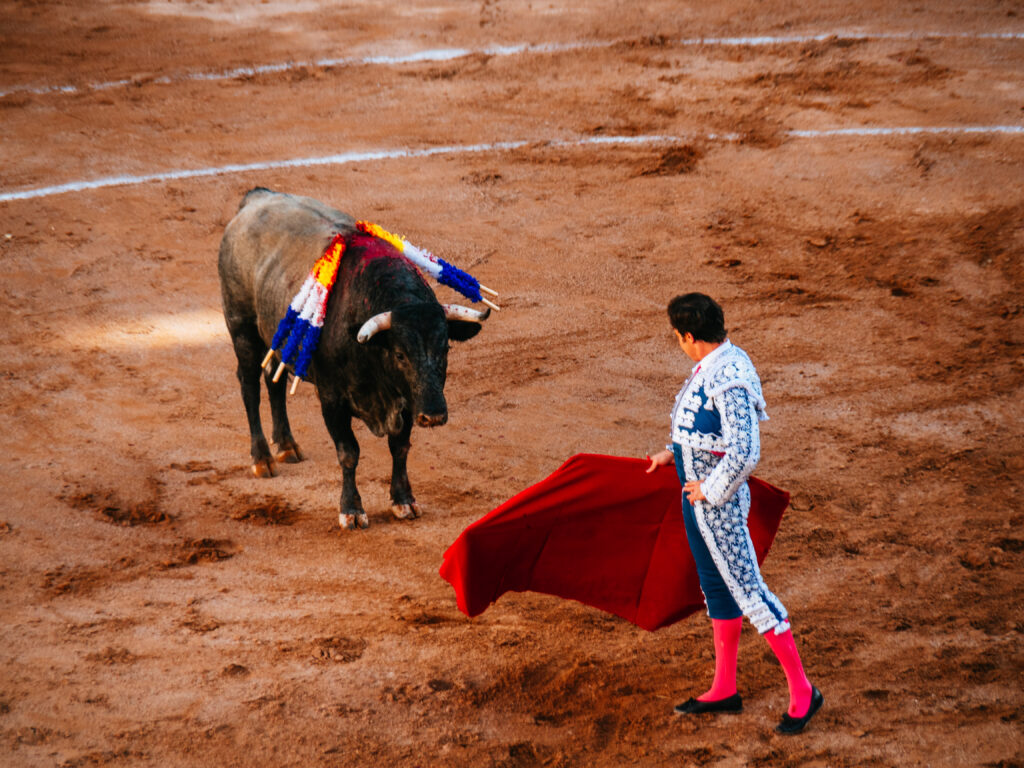 アグアスカリエンテス｜サンマルコス祭りで闘牛鑑賞