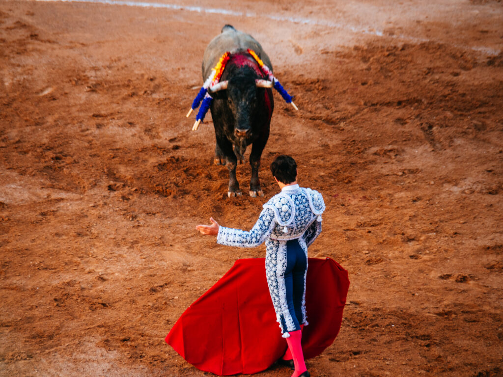 アグアスカリエンテス｜サンマルコス祭りで闘牛鑑賞