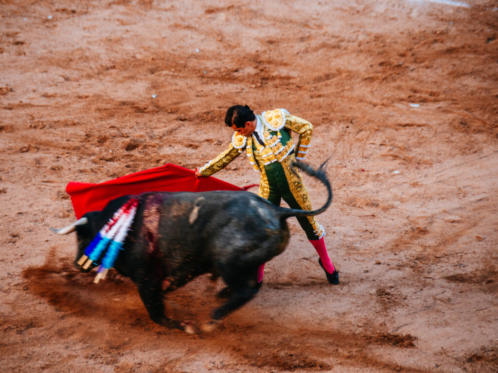 アグアスカリエンテス｜サンマルコス祭りで闘牛鑑賞