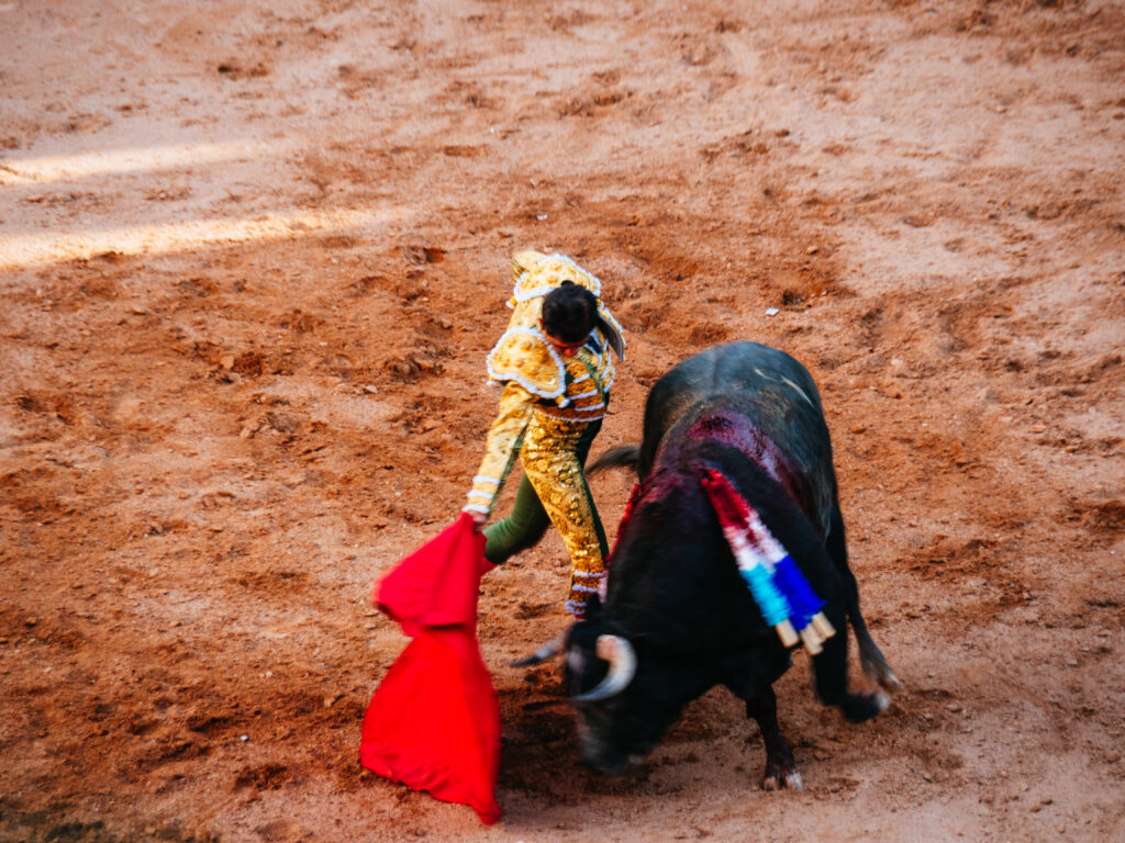 アグアスカリエンテス｜サンマルコス祭りで闘牛鑑賞