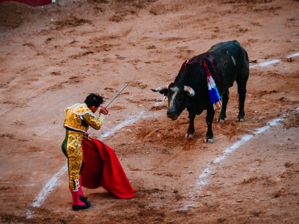 アグアスカリエンテス｜サンマルコス祭りで闘牛鑑賞