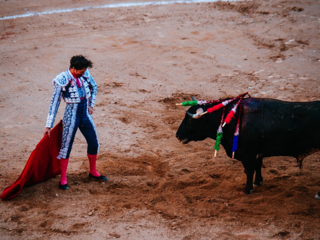 アグアスカリエンテス｜サンマルコス祭りで闘牛鑑賞