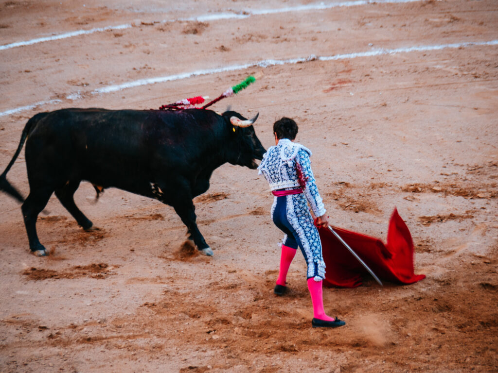 アグアスカリエンテス｜サンマルコス祭りで闘牛鑑賞