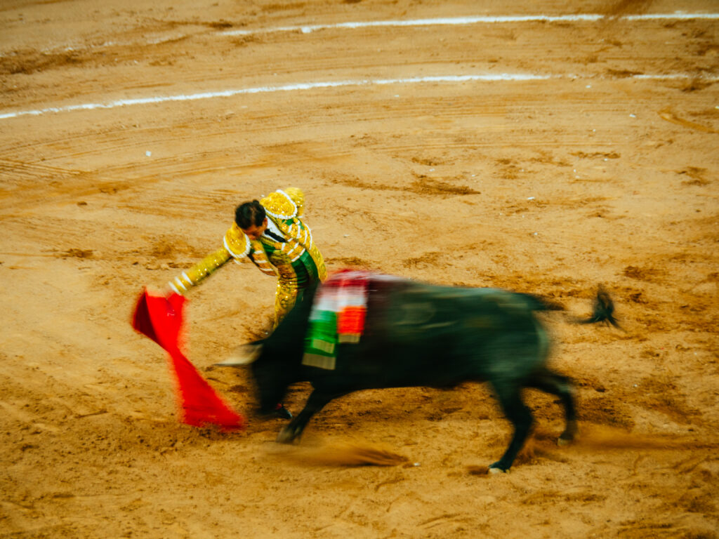 アグアスカリエンテス｜サンマルコス祭りで闘牛鑑賞