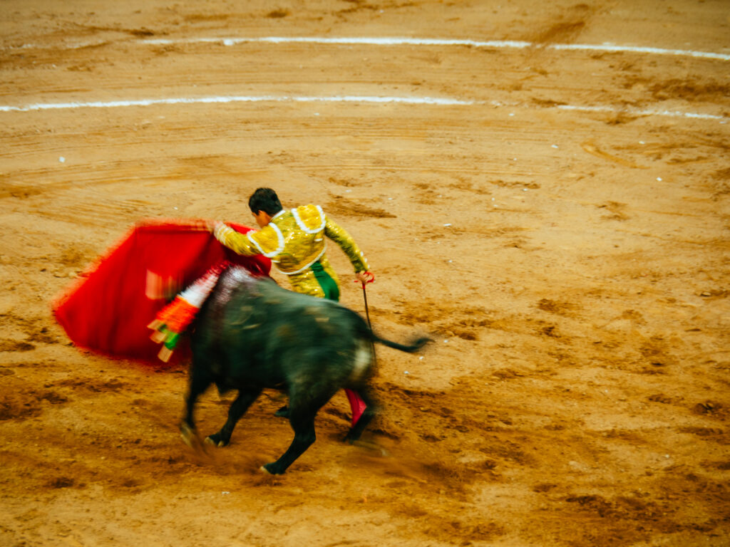 アグアスカリエンテス｜サンマルコス祭りで闘牛鑑賞