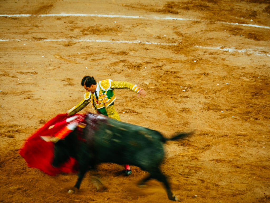 アグアスカリエンテス｜サンマルコス祭りで闘牛鑑賞