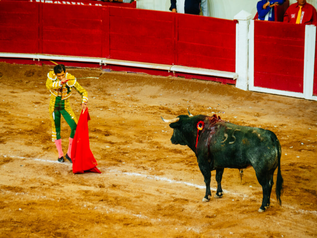 アグアスカリエンテス｜サンマルコス祭りで闘牛鑑賞