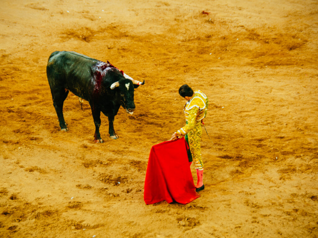 アグアスカリエンテス｜サンマルコス祭りで闘牛鑑賞