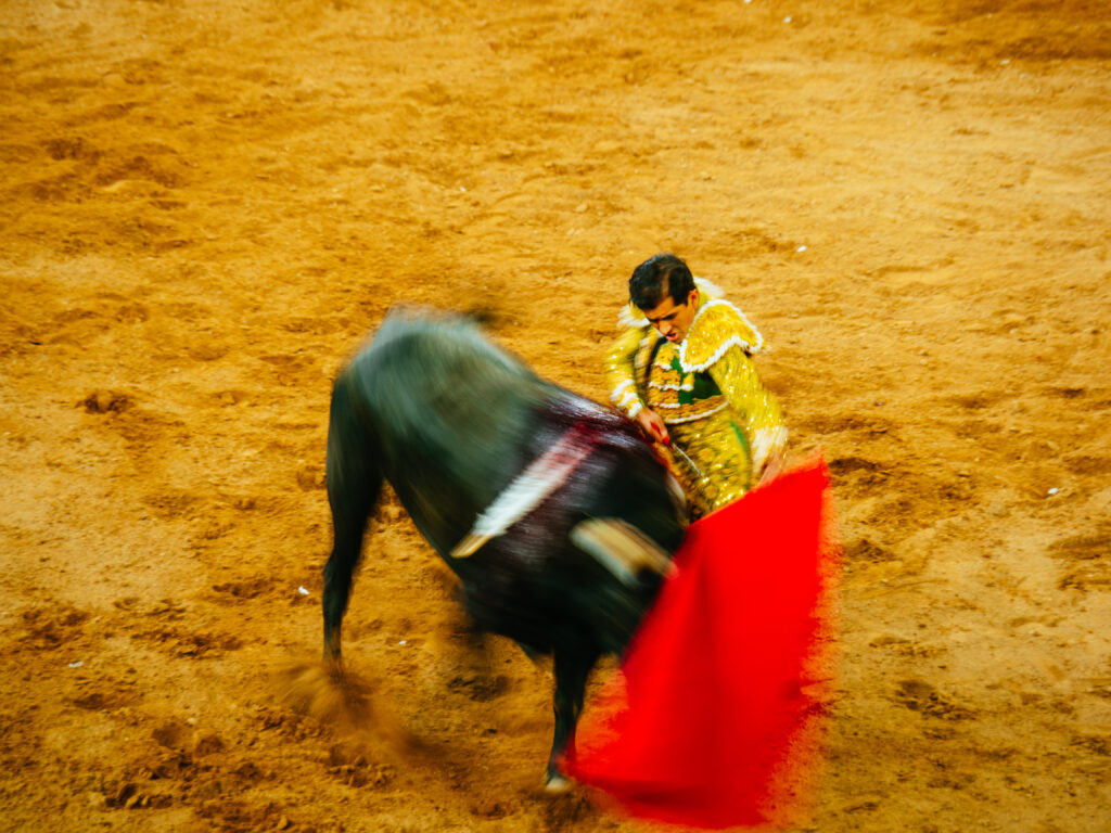 アグアスカリエンテス｜サンマルコス祭りで闘牛鑑賞