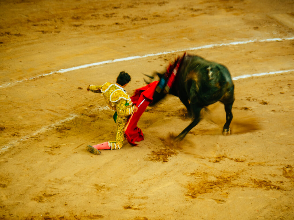 アグアスカリエンテス｜サンマルコス祭りで闘牛鑑賞