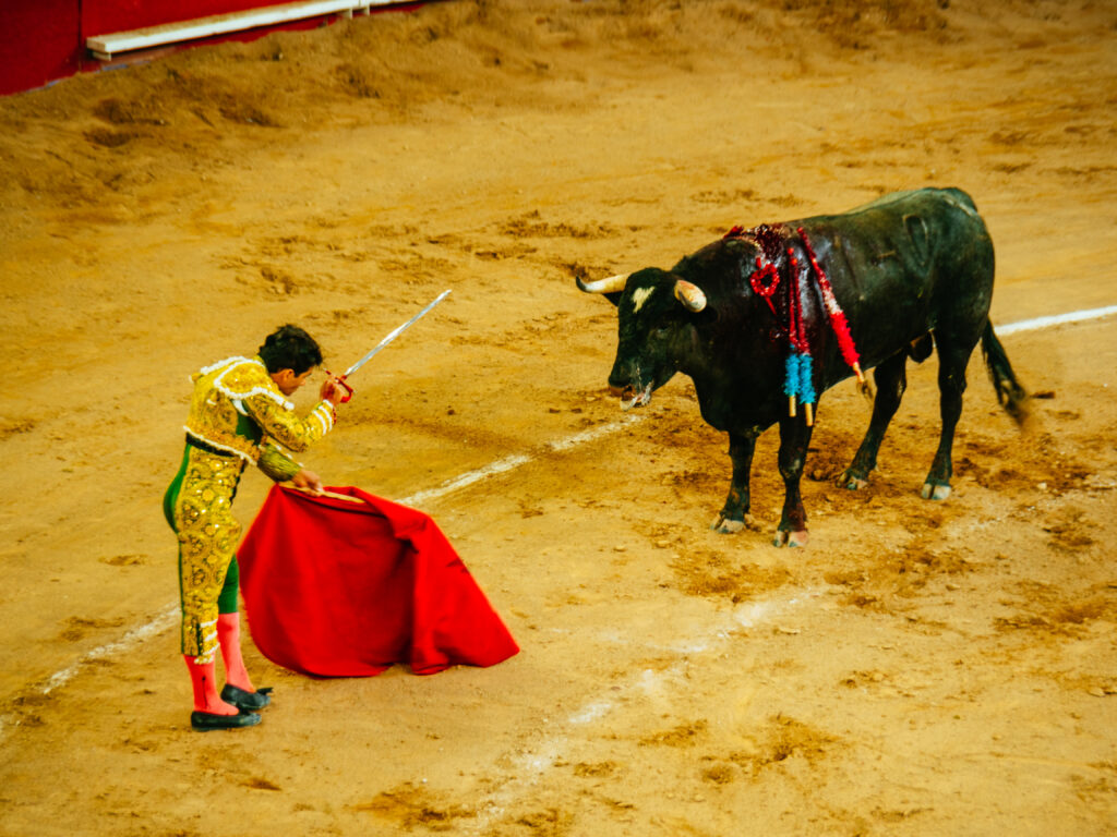 アグアスカリエンテス｜サンマルコス祭りで闘牛鑑賞