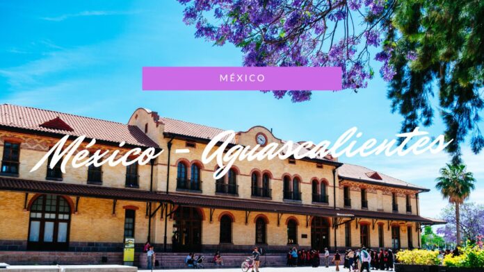 Plaza de las Tres Centurias、メキシコの桜「ハカランダ」