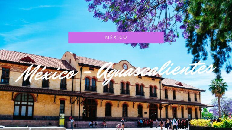 Plaza de las Tres Centurias、メキシコの桜「ハカランダ」
