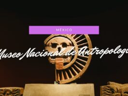 メキシコシティ｜国立人類学博物館を2時間でサクッと鑑賞