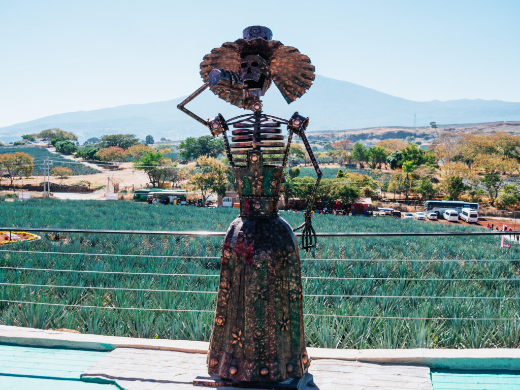 Complejo Paraíso Azul