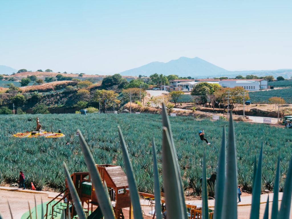 Complejo Paraíso Azul