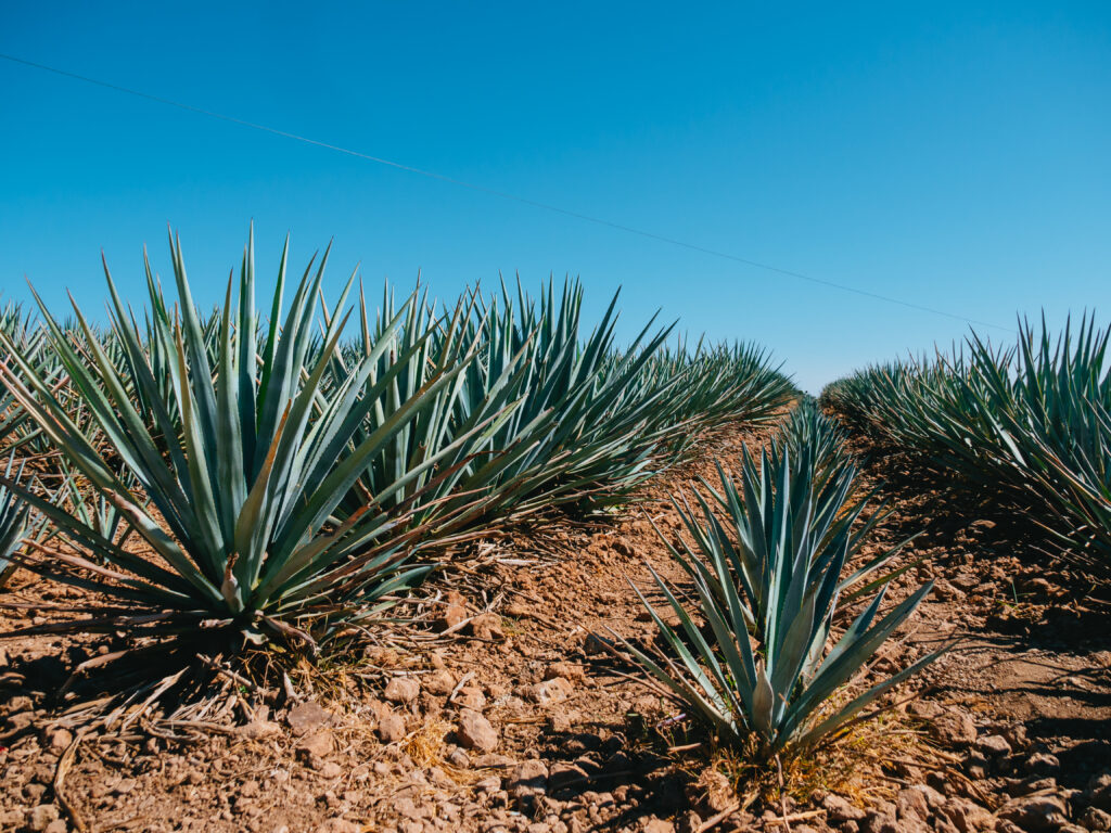 Complejo Paraíso Azul