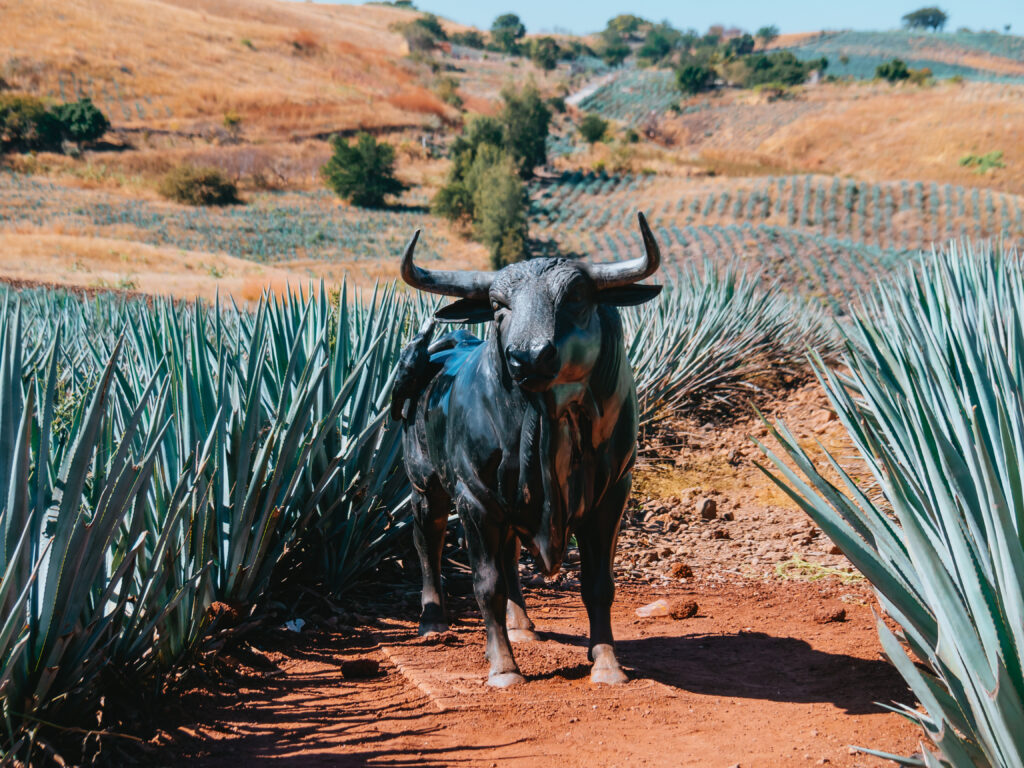 Complejo Paraíso Azul