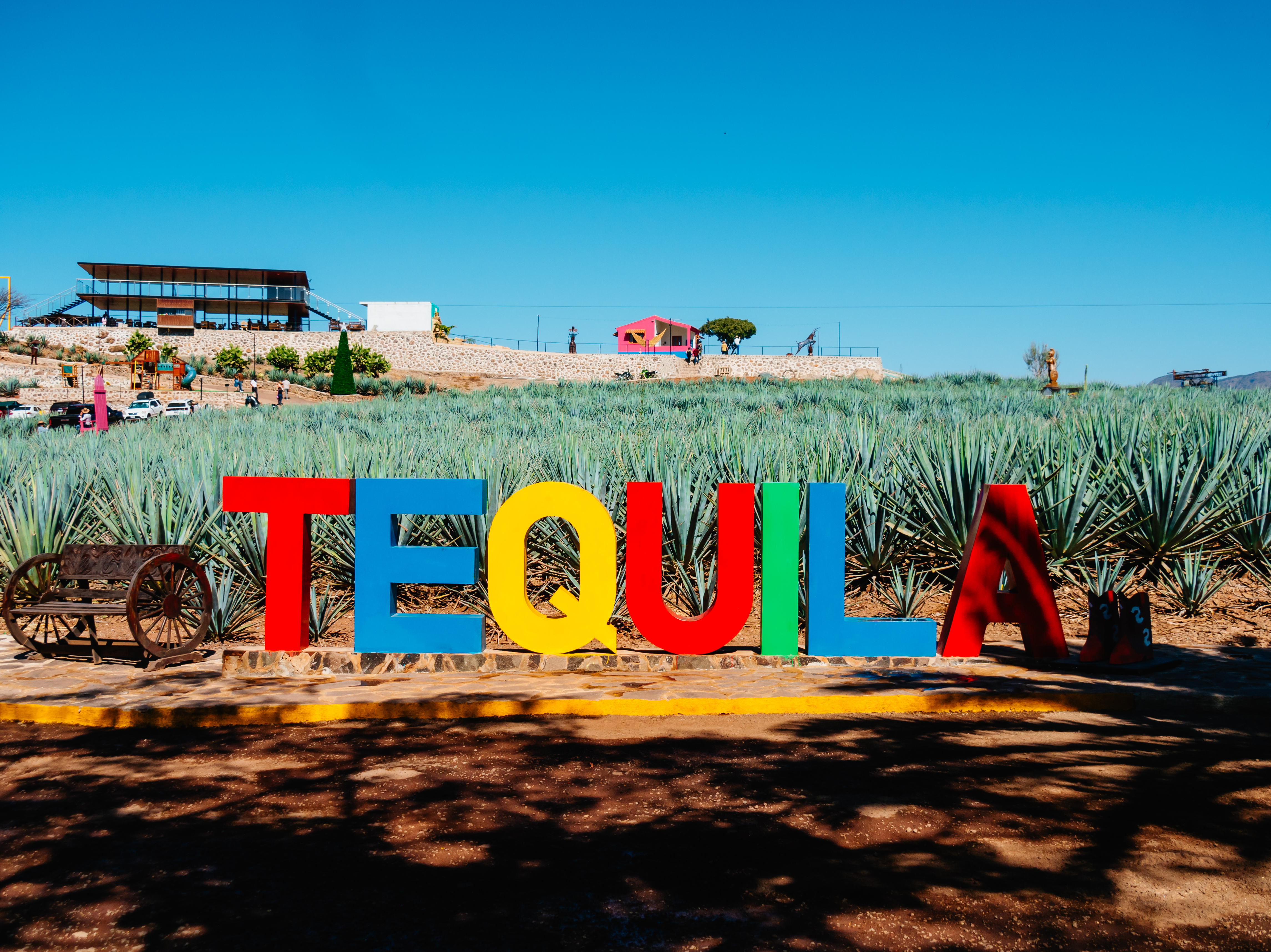 メキシコ|テキーラ村で蒸留所見学ツアー。見どころスポットを1日観光。