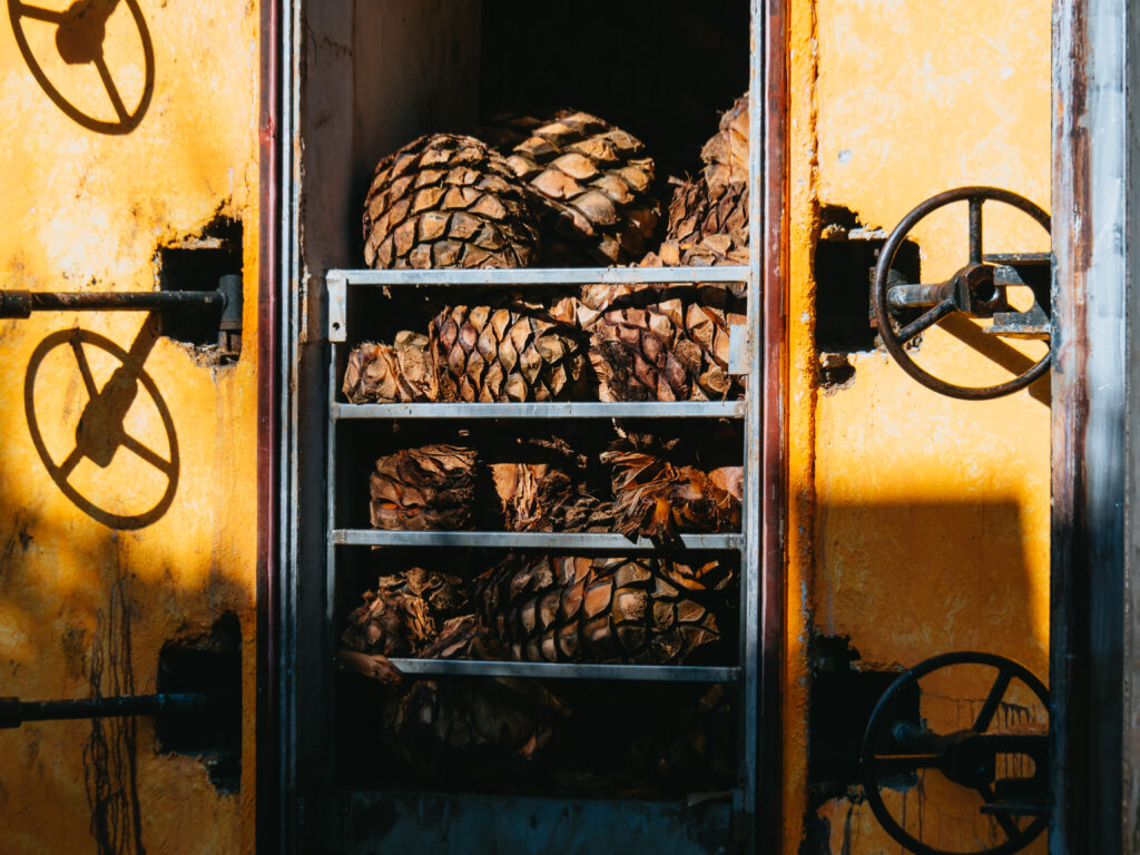 Jose Cuervo(ホセ・クエルボ)蒸留所見学ツアー