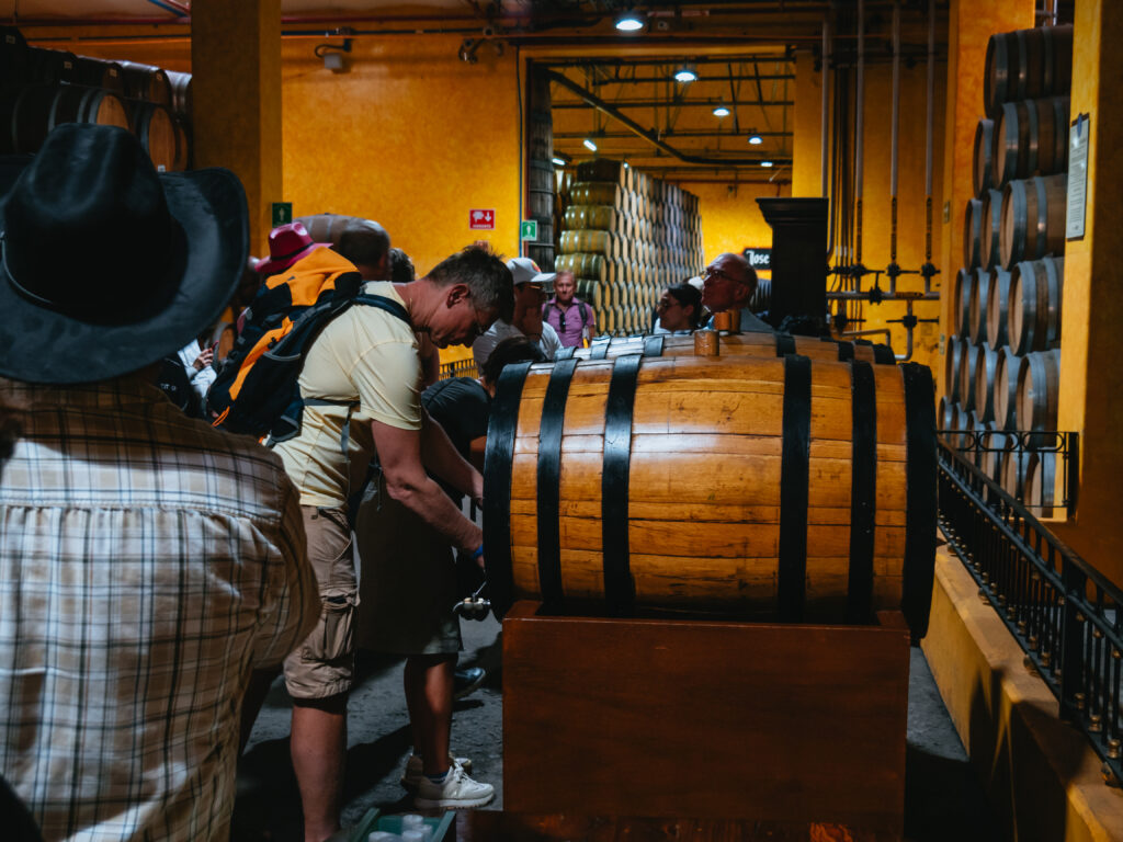 Jose Cuervo(ホセ・クエルボ)蒸留所見学ツアー