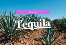 メキシコ|テキーラ村で蒸留所見学ツアー。見どころスポットを1日観光。 テキーラ村