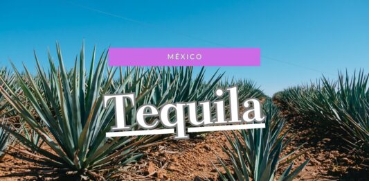 メキシコ|テキーラ村で蒸留所見学ツアー。見どころスポットを1日観光。 テキーラ村