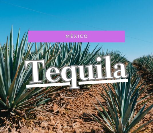 メキシコ|テキーラ村で蒸留所見学ツアー。見どころスポットを1日観光。 テキーラ村